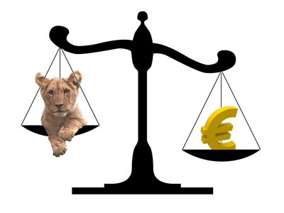 Cursul de referinta leu/euro a ajuns la cotatia de 4,2297 lei/euro